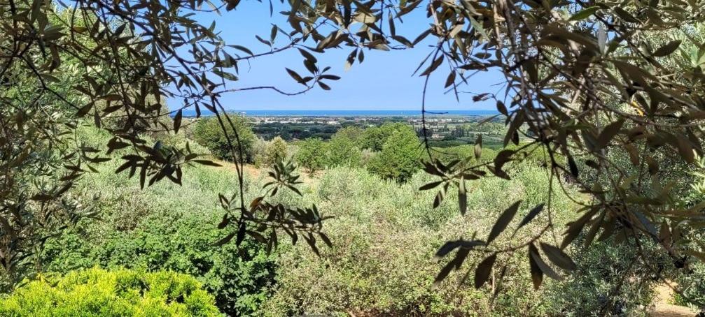 קסטנייטו קרדוצ'י Agriturismo Villa Carducci מראה חיצוני תמונה