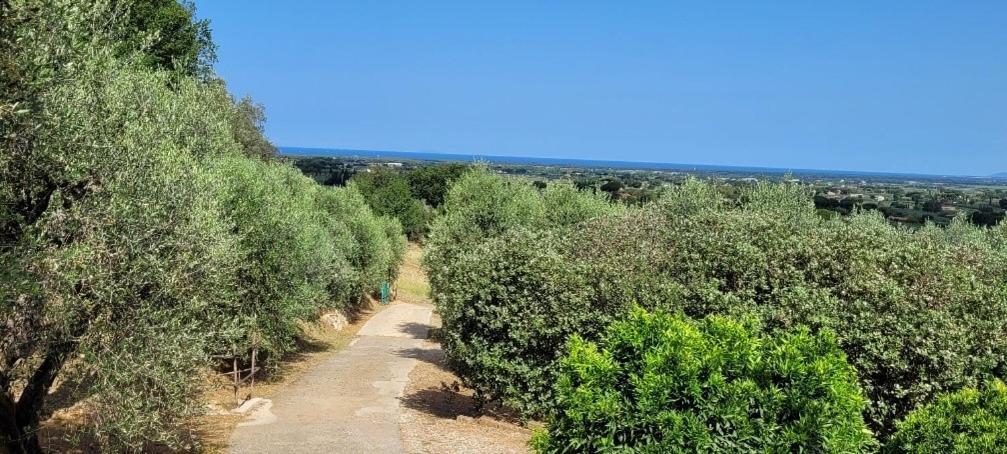 קסטנייטו קרדוצ'י Agriturismo Villa Carducci מראה חיצוני תמונה